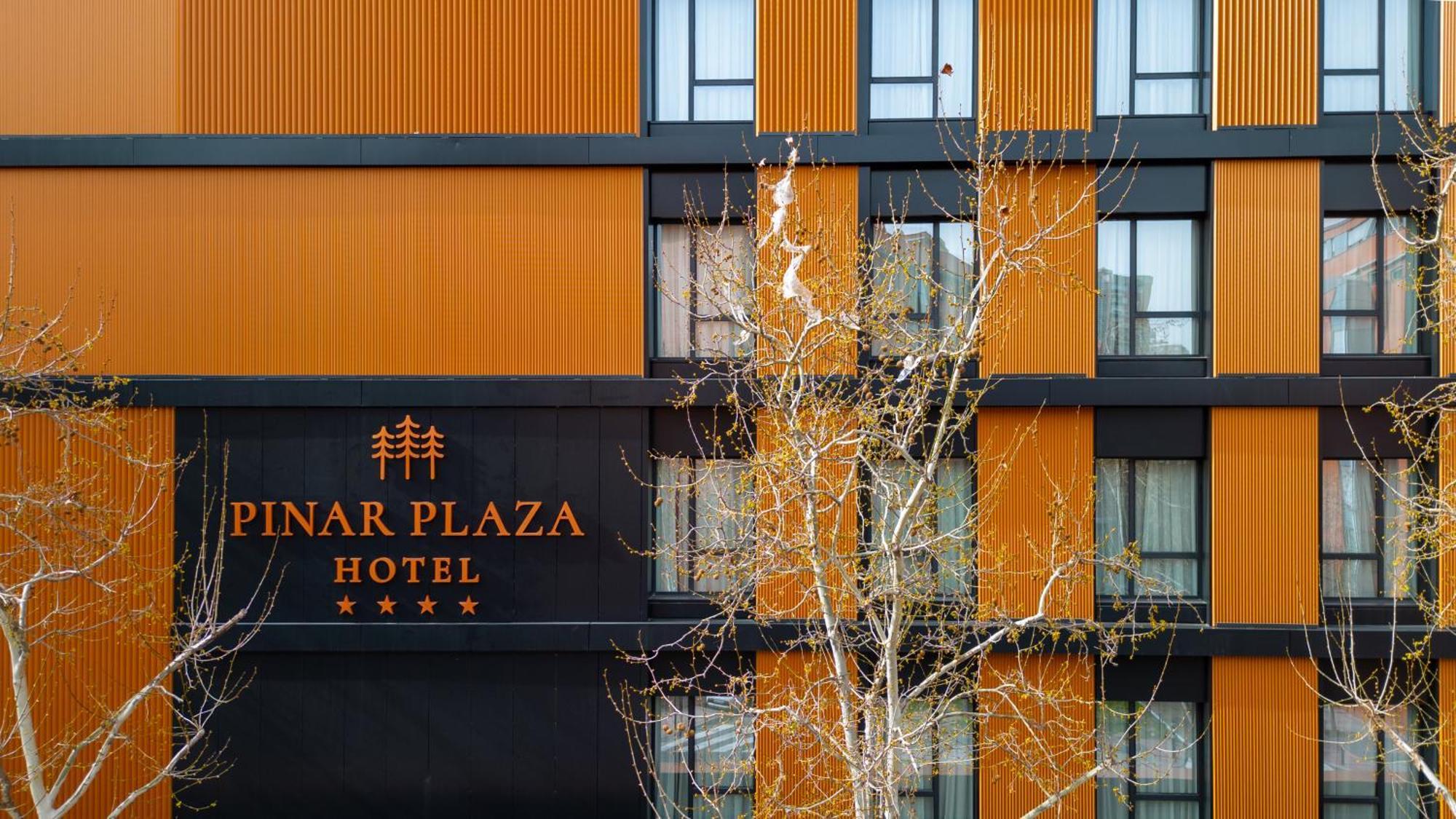 Hotel Pinar Plaza Madryt Zewnętrze zdjęcie